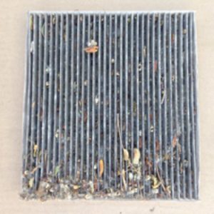 Cabin Air Filter